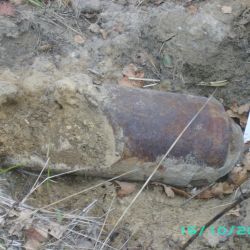В Речицком районе уничтожили 6 авиабомб