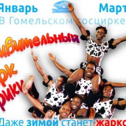 В Гомель приедет «Удивительный цирк Африки»