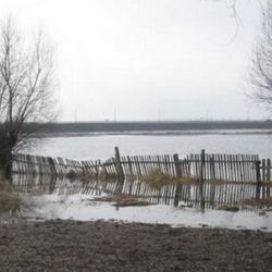 В результате обильного таяния снега в Беларуси подтоплено 19 населенных пунктов