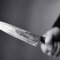 Завершено дело гомельчанина, который в голом виде покушался на жизнь бабушки и её внучки