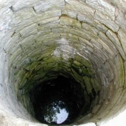 В Гомеле спасатели вытащили из колодца мужчину, который хотел спасти кота