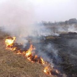 Гомельскую область накрывает туман из гари