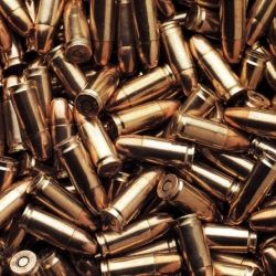 Жителя Светлогорска задержали за хранение боеприпасов