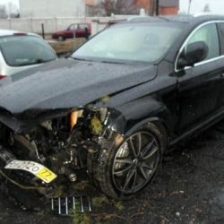 Мозырянин сбил кабана и получил страховое возмещение за липовое ДТП