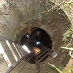 В Гомельском районе из люка спасли козленка