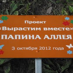 В Гомеле посадили ``папину аллею``