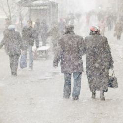Снежная пора придет в Гомель в конце недели