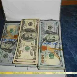 Сладкий кусок: 50 тысяч долларов США обнаружили гомельские таможенники в коробке из-под конфет