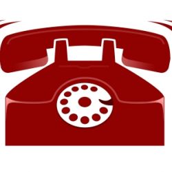 Комитет госконтроля проведет «горячую линию» по охотничьим хозяйствам