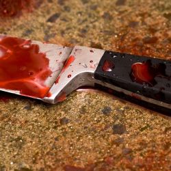 В Жлобине мужчина изувечил свою престарелую мать