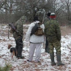 Чиновникам, охотившимся в зоне отчуждения, могут смягчить наказание