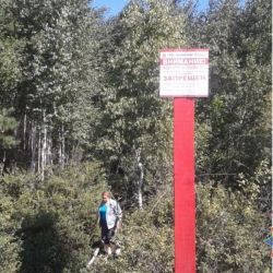 За один день в Хойникском районе за посещение леса наказали 10 человек