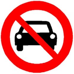 Гомельские водители смогут бесплатно проехать в общественном транспорте