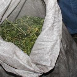 Инспекторы ГАИ обнаружили мешки с марихуаной в салоне «шестёрки»