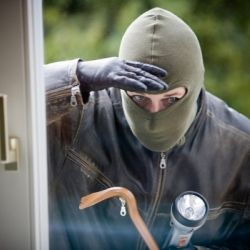 Милиция задержала супружескую пару, которая подозревается в серии дачных краж в Буда-Кошелевском районе