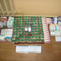 Гомельские таможенники изъяли медицинские препараты на 23 миллиона рублей (ФОТО)