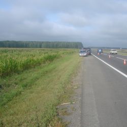 Пешеход погиб на трассе в Речицком районе