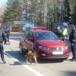 Перехват на границе: Гомельские и брянские госавтоинспекторы отработали приграничье
