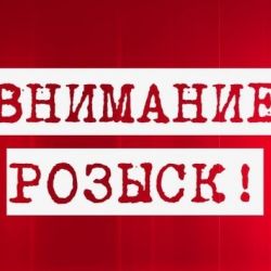 Разыскивается подозреваемая в совершении грабежа