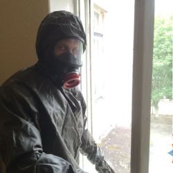 В Калинковичах спасатели ликвидировали гнездо ос в детском саду 