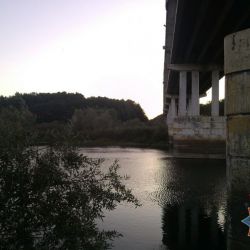 Ушел в бездну: В Чечерском районе в реке Сож утонул мужчина
