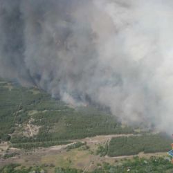 В Гомельской области продолжают гореть леса и торфяники