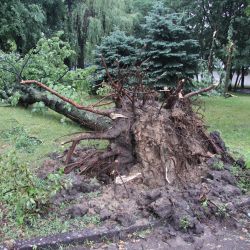 Фотофакт: разрушительный ураган в Гомеле 