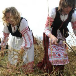 Областные дожинки пройдут в Светлогорске