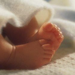 Родителям девочки, чье мумифицированное тело нашли в гомельской квартире, предъявлено обвинение