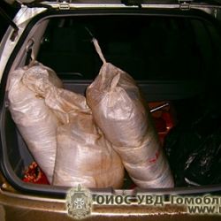 В Гомельском районе изъяли партию насвая на 180 миллионов рублей