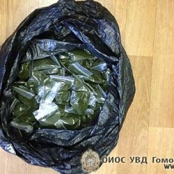Гомельчанина за два килограмма насвая арестовали на 15 суток