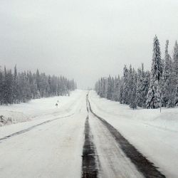 Два человека пострадали, один погиб в ДТП под Добрушем