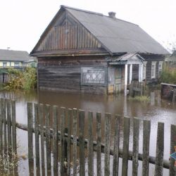 В Житковичском районе вода забралась в частный дом