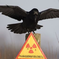В Гомеле прохожий обнаружил прибор с превышением радиационного излучения в 50 раз