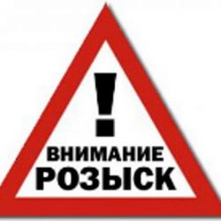 ГАИ ищет водителя, сбившего собаку на Станочных узлах