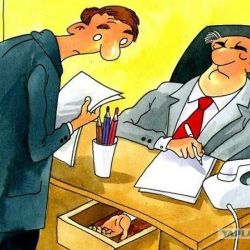 Врачи, преподаватели, строители: в Гомельской области выявлено более 80 фактов взяточничества