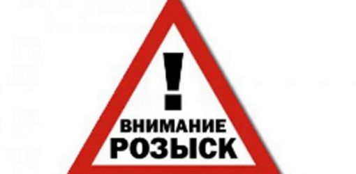 ГАИ ищет водителя, сбившего собаку на Станочных узлах